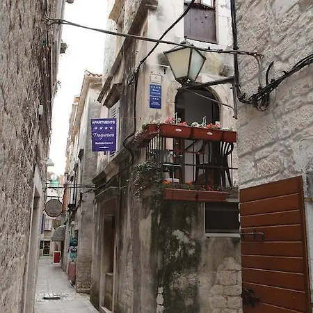 Tragurium تروغير
